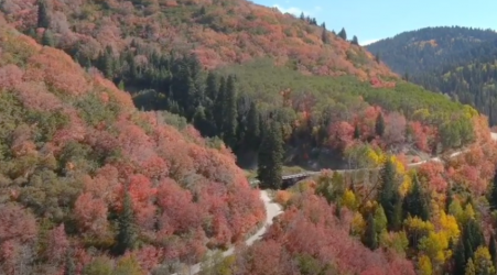 Drone Captures Autumnal Palette in Northern Utah