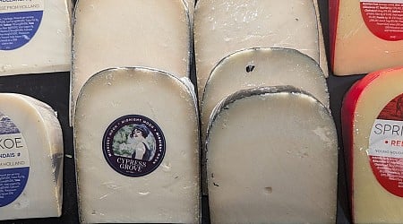 10 Best Cheeses You'll Find at Any Supermarket, According to an Expert