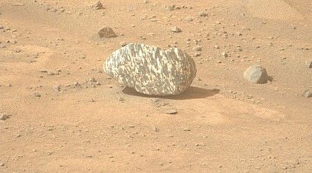 This Might Be the Weirdest Rock Ever Found on Mars