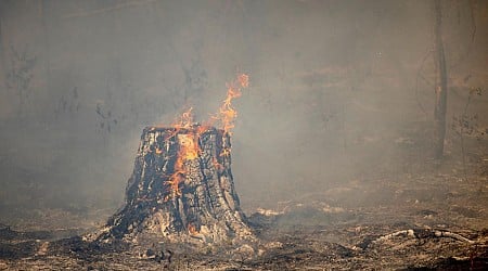 Viral post misleads about Wyoming fires, rare earth minerals | Fact check