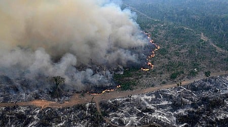 Amazon forest loses area the size of Germany and France, fueling fires