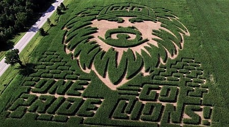 Carved in corn: Dan Campbell and Caitlin Clark inspire mazes