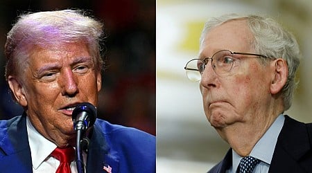 Mitch McConnell goes after Trump's trade policy: 'I'm not a tariff fan'