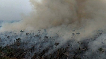 Deforestation is partly to blame for Amazon's worst-ever drought