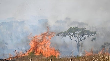 What we know about the fire 'pandemic' plaguing Brazil