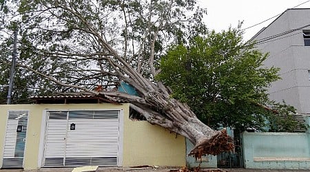 Eight dead as heavy rain thrashes Brazil after long drought