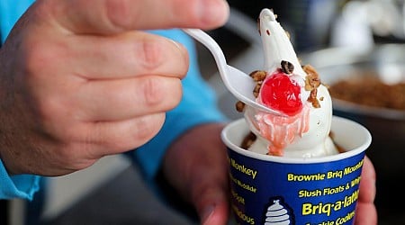 Briq's Soft Serve at Riverlife Park in Wausau will not reopen in 2025. Here's why.