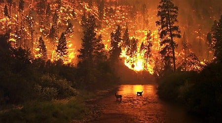 This is the Most Iconic Wildfire Photo Ever Taken