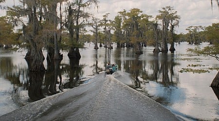 Caddo Lake is extremely produced by M. Night Shyamalan, if you get what I’m saying