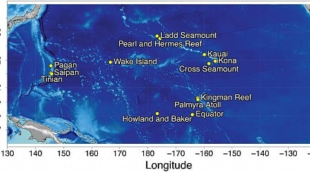 Mysterious Pacific Ocean sounds identified as a type of whale—a new AI app helps track them