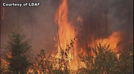 Retired state fire marshal weighs in on red flag warnings and burn bans across the state