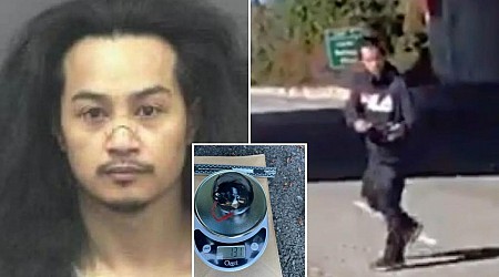 Bodycam footage shows suspect try to light bomb as he's chased by police on Washington highway