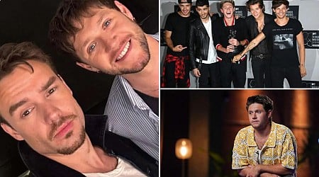 Niall Horan breaks silence over Liam Payne's sudden death