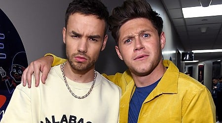 Niall Horan Remembers Liam Payne After Two Reunited at Argentina Show