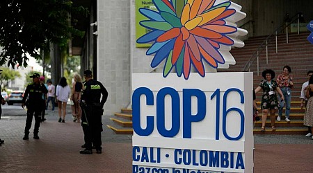 Environmental delegates gather in Colombia for a conference on dwindling global biodiversity