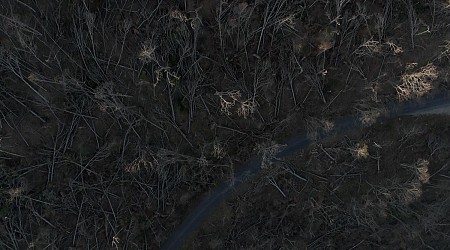 Watch: Drone footage shows Blue Ridge Parkway devastation in North Carolina