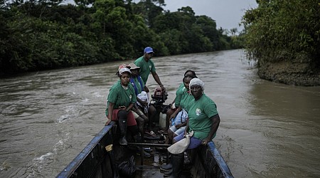 Afro-Colombians fight the effects of gold mining through biodiversity projects in a violent region