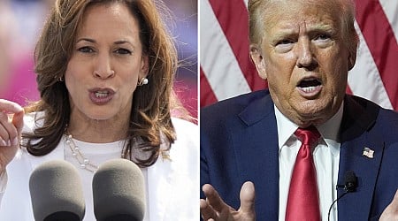 Trump, Harris go on campaign blitz in battleground states as race enters final stretch