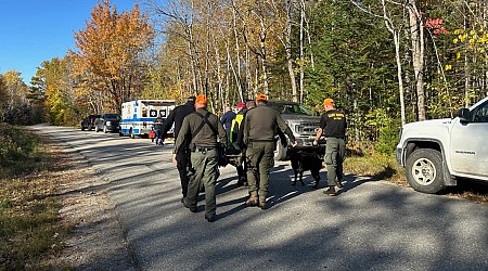 Husband dies after Maine couple is lost in woods for days; wife may have survived thanks to dog