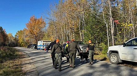 Husband dies after Maine couple is lost in woods for days, wife may have survived thanks to dog