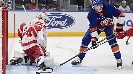 Alex Lyon makes 29 saves and Red Wings edge Islanders 1-0