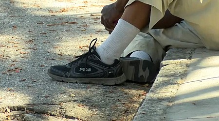 Lowcountry count reveals snapshot of homeless population