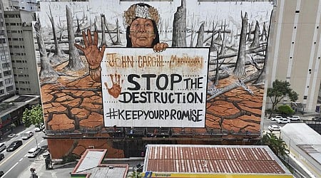 Message to US Firm Was Made From Destroyed Rainforest