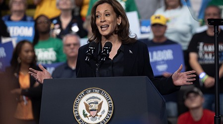 Kamala Harris Flips Michigan in New Poll