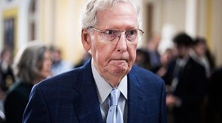 Mitch McConnell Funneled Cash to PAC Pitting Arab, Jewish Voters Against Harris