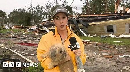 Moment missing dog is found in tornado debris