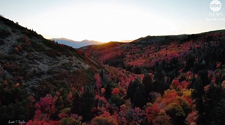 WATCH: Mesmerizing drone footage shows autumnal colors spreading across Northern Utah