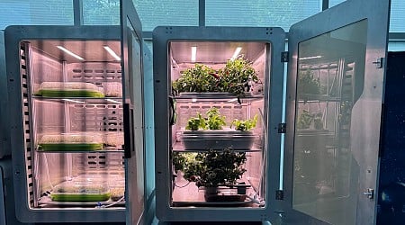 Scientists Grow Crops in Near-Total Darkness Thanks to New ‘Electro-Agriculture’ Technique