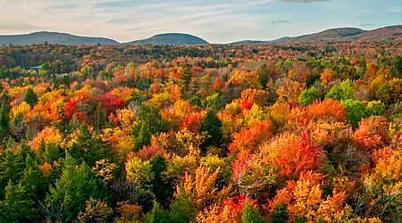 Colorblind viewfinders in Virginia parks allow guests to experience fall foliage in full color