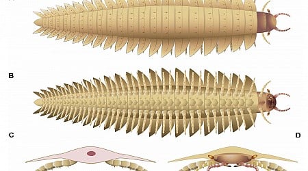 Scientists Reconstruct Terrifying Face of Car-Sized Millipede That Roamed Prehistoric Earth