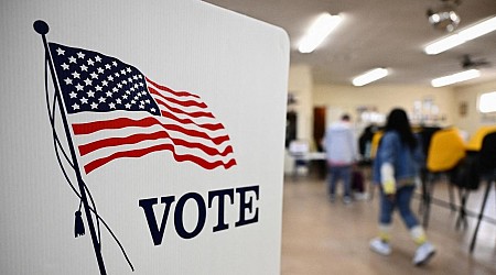 Virginia Voter Roll Purge Blocked By Judge