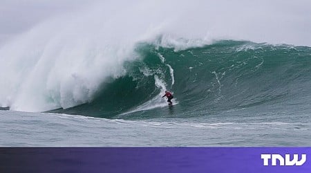 Big wave surfer emerges from the barrel with $120M fund for regenerative agriculture