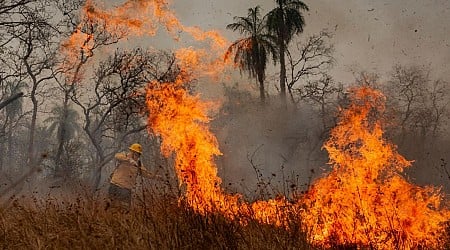 Waldbrände: Indigene Feuerwehrleute kämpfen in Brasilien gegen Flammen