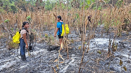 How climate change is undermining Indigenous knowledge and livelihoods in Central America