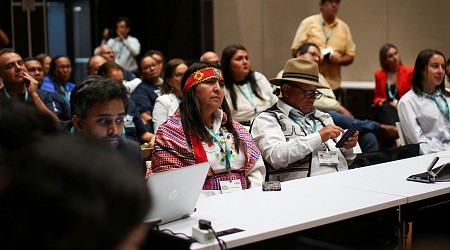 Nearly 200 countries gather at COP16 to discuss meeting 2022 treaty pledges