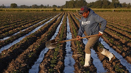 Mexico announces food, agriculture plan that could take country back to 1980s