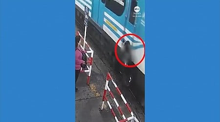 WATCH: Man almost hit by train while staring at phone