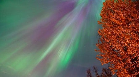 Northern Lights Forecast: Aurora Borealis Could Be Visible In These States Tonight