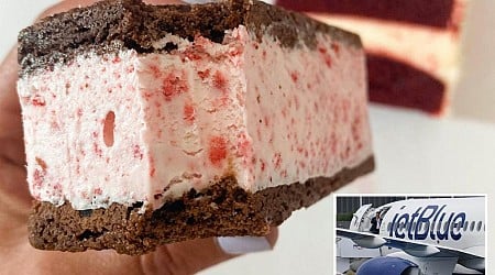 NJ woman sues Jet Blue over ice cream sandwich that broke her tooth