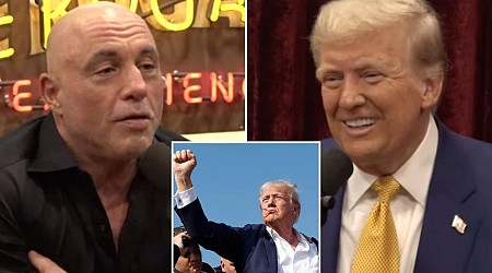 Joe Rogan reveals why he finally agreed to interview Trump on his podcast