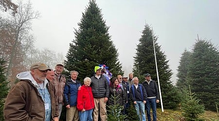 North Carolina farm provides White House Christmas tree