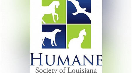 Humane Society offers $1000 for information on person responsible for shooting ducks on LSU campus