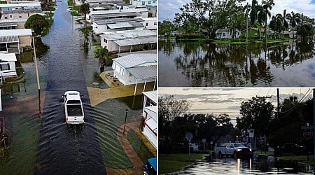 Dengue Fever cases rise in Florida after Hurricane Milton