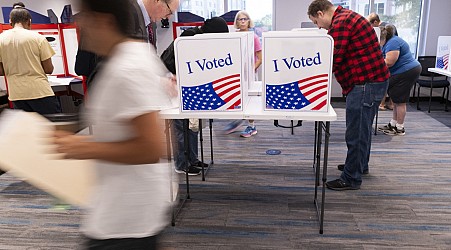 U.S. citizens are among the voters removed in Virginia’s controversial purge