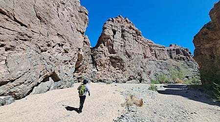 Boiling Point: California's role in the global fight to protect nature