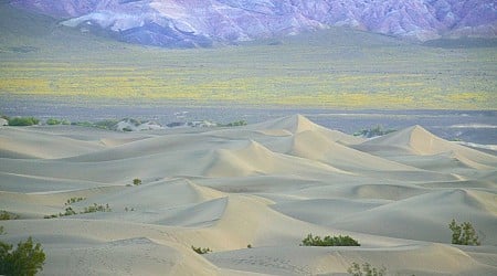 On This Day, Oct. 31: Death Valley, Joshua Tree National Parks established